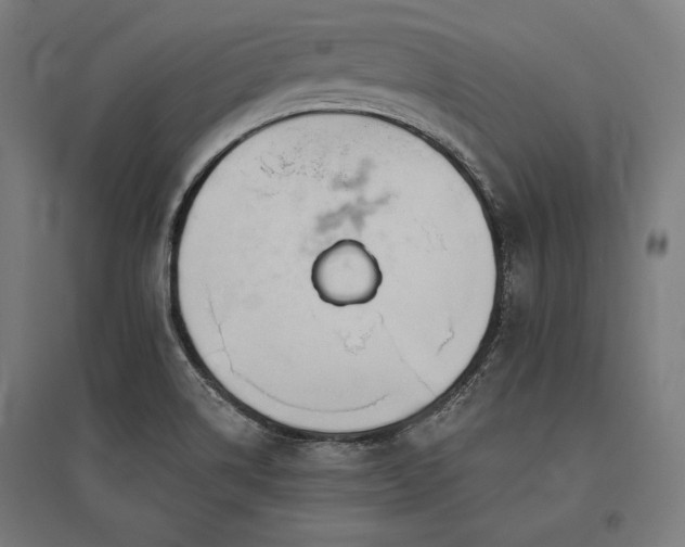 X0000096171514200801181238