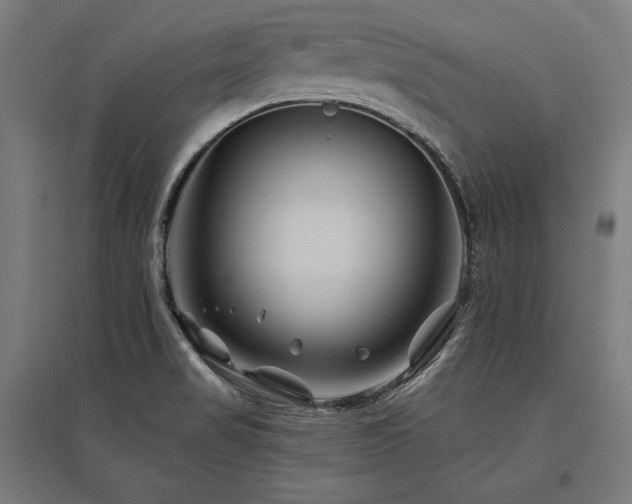 X0000096171517200801181238
