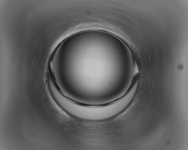 X0000096171518200801181238