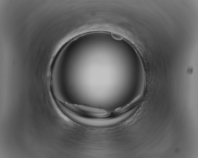 X0000096171519200801181238