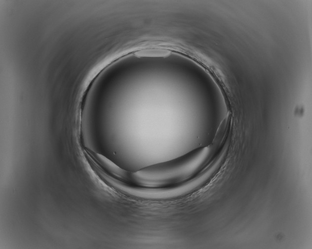X0000096171520200801181238