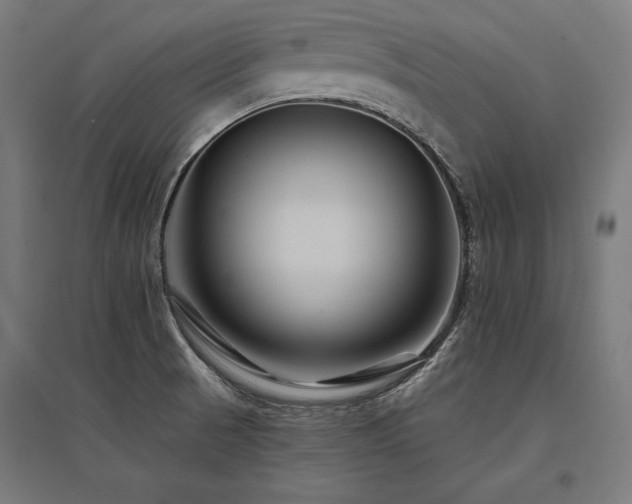 X0000096171521200801181238