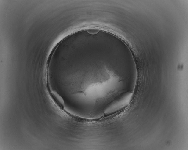 X0000096171522200801181238