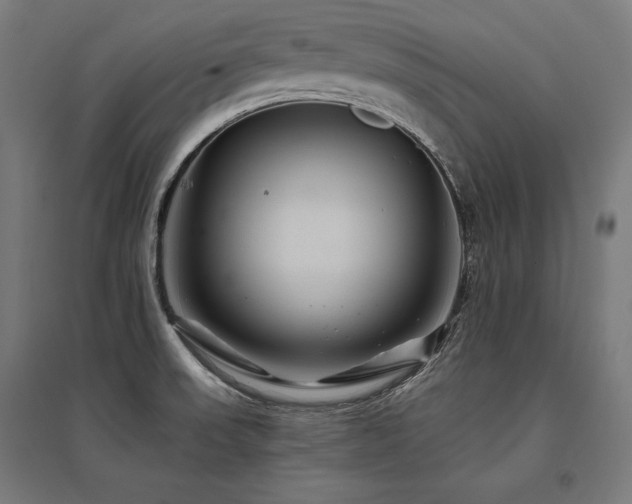 X0000096171523200801181238