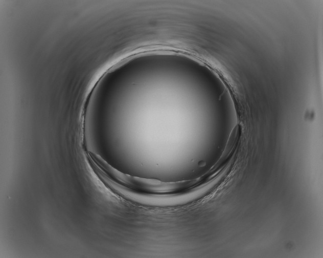 X0000096171524200801181239