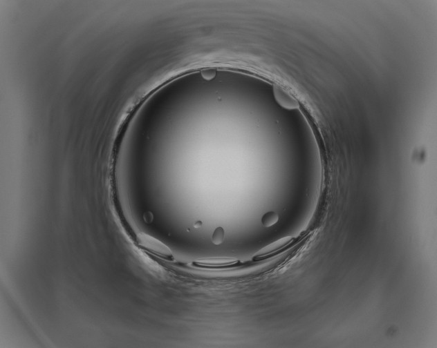 X0000096171525200801181239