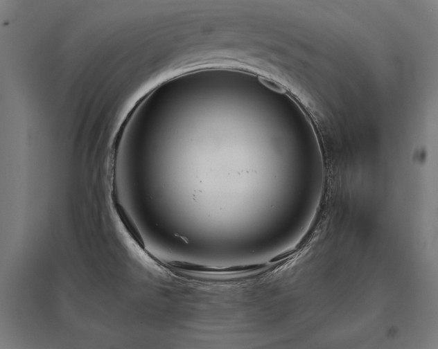 X0000096171526200801181239