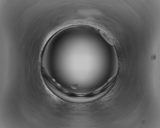 X0000096171527200801181239