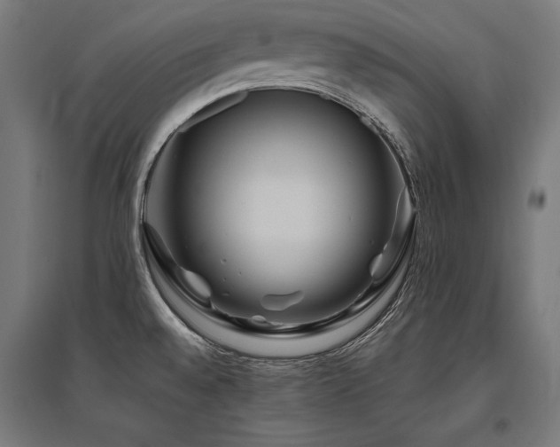 X0000096171528200801181239