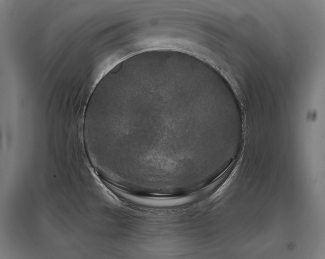 X0000096171529200801181239
