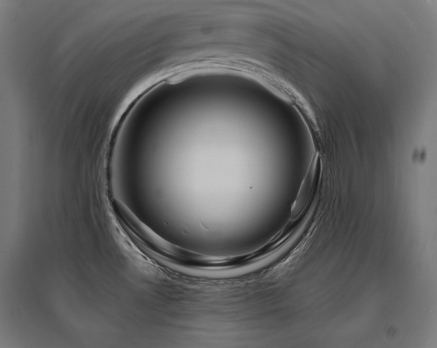 X0000096171530200801181239