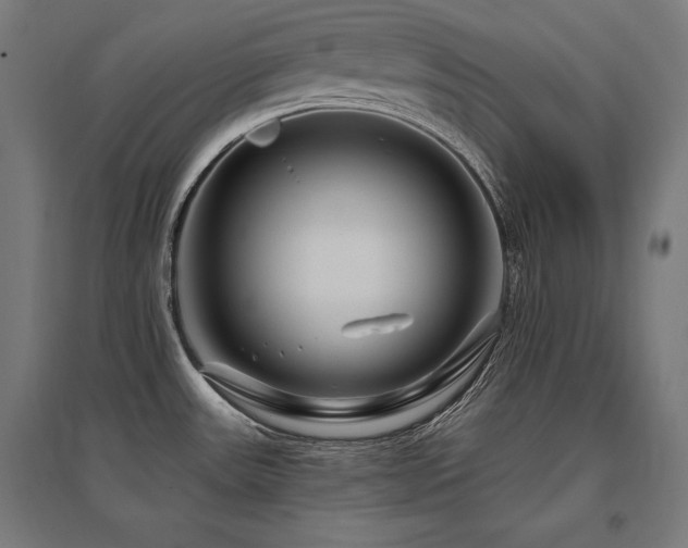 X0000096171531200801181239