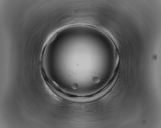 X0000096171532200801181239