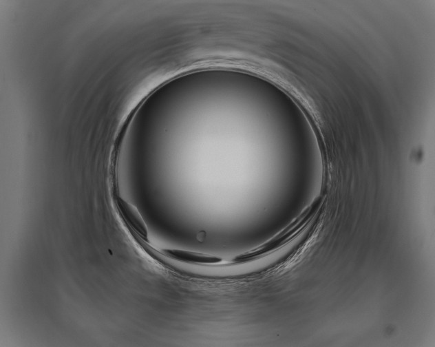 X0000096171533200801181239