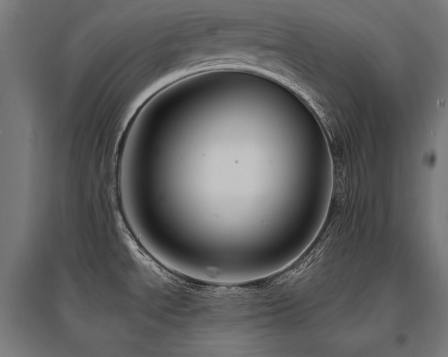 X0000096171534200801181239