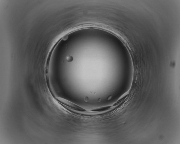 X0000096171535200801181239