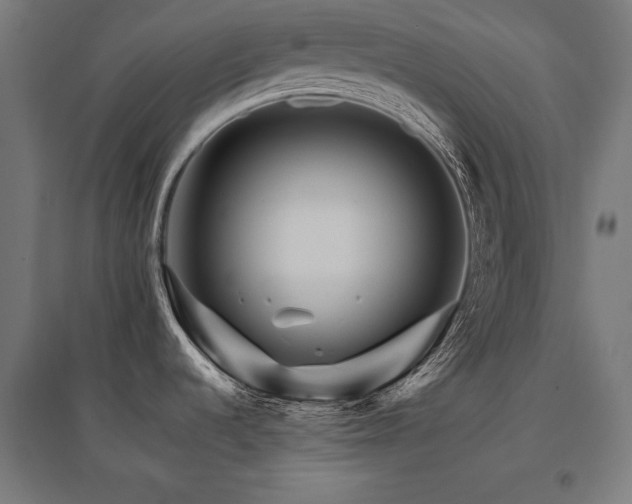 X0000096171536200801181239
