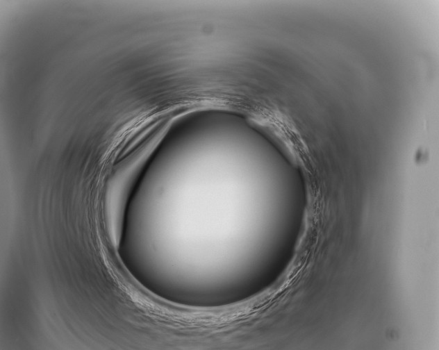 X0000096170001200801251203