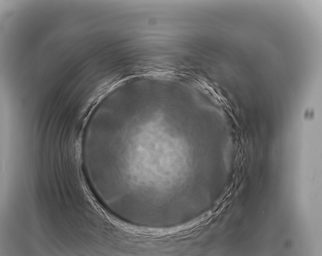 X0000096170002200801251203