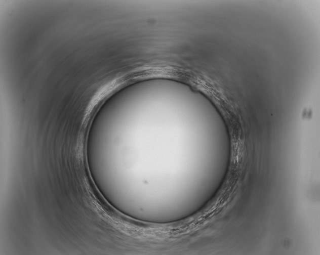 X0000096170004200801251203