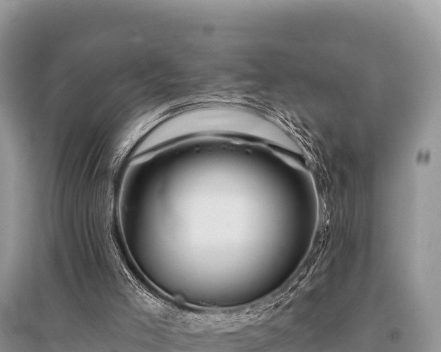 X0000096170005200801251203