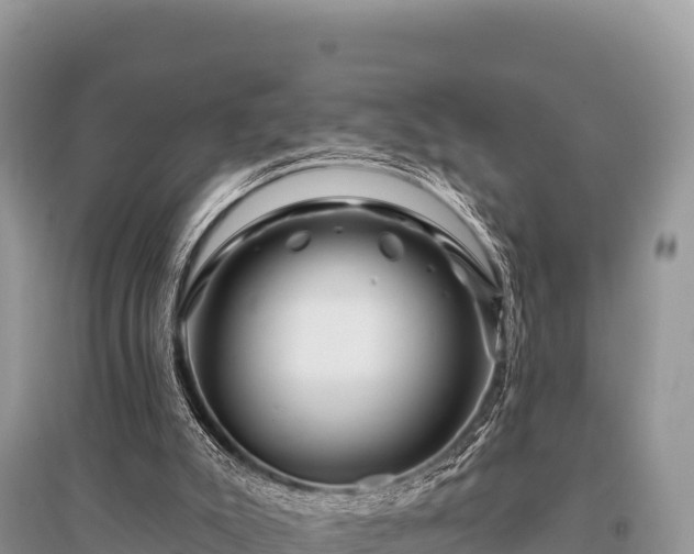 X0000096170007200801251202