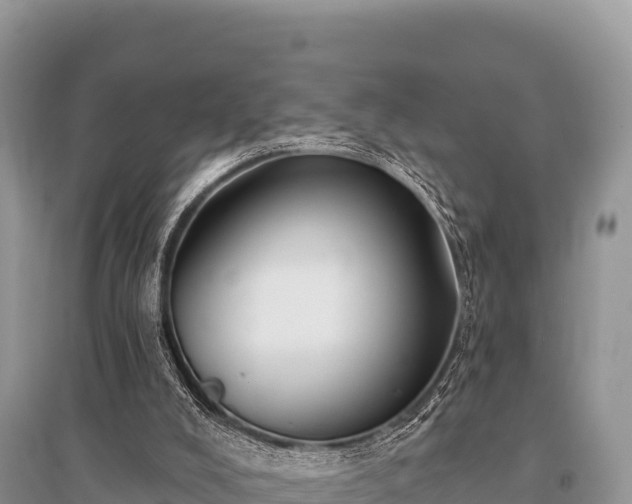 X0000096170008200801251202