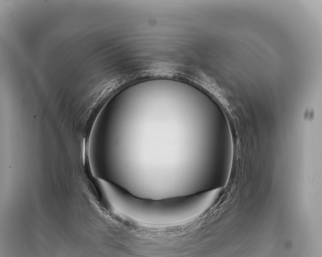 X0000096170013200801251202