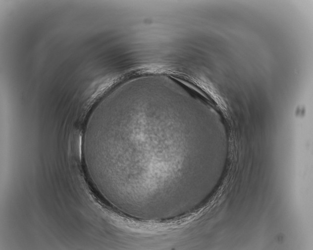 X0000096170014200801251202