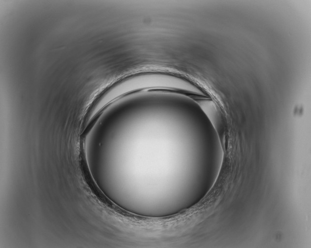 X0000096170015200801251202