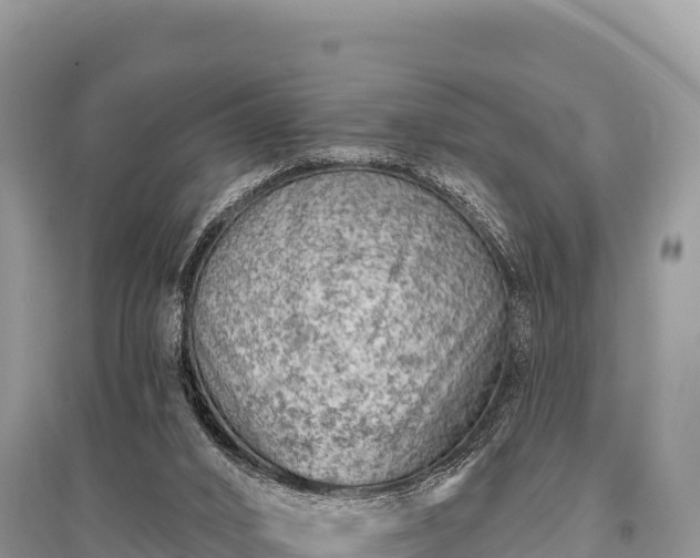 X0000096170016200801251202