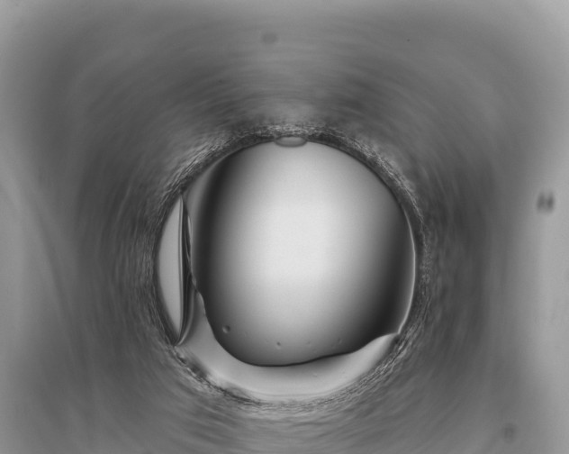 X0000096170017200801251202