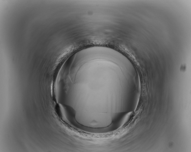 X0000096170019200801251202