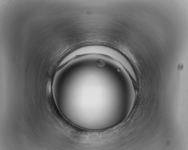 X0000096170021200801251202