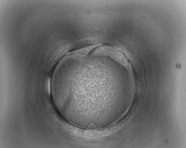 X0000096170022200801251202