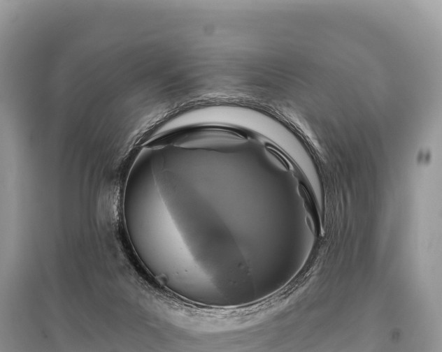 X0000096170023200801251202