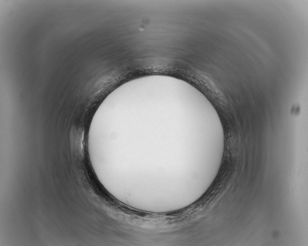 X0000096170024200801251202