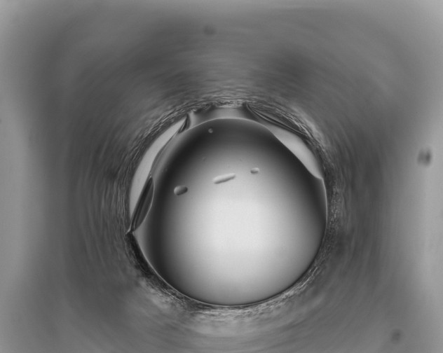 X0000096170025200801251202