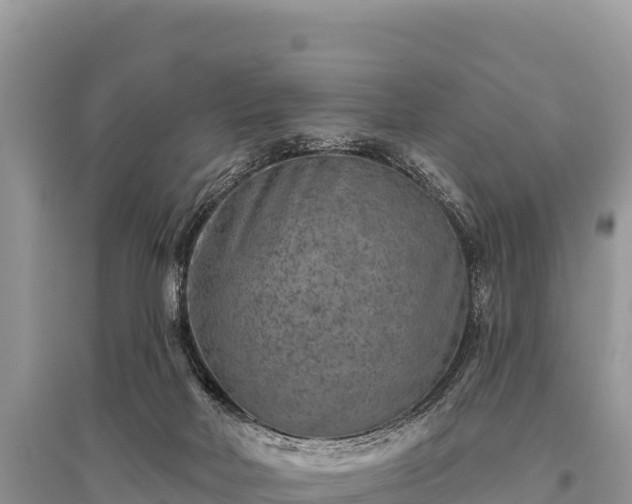 X0000096170026200801251202