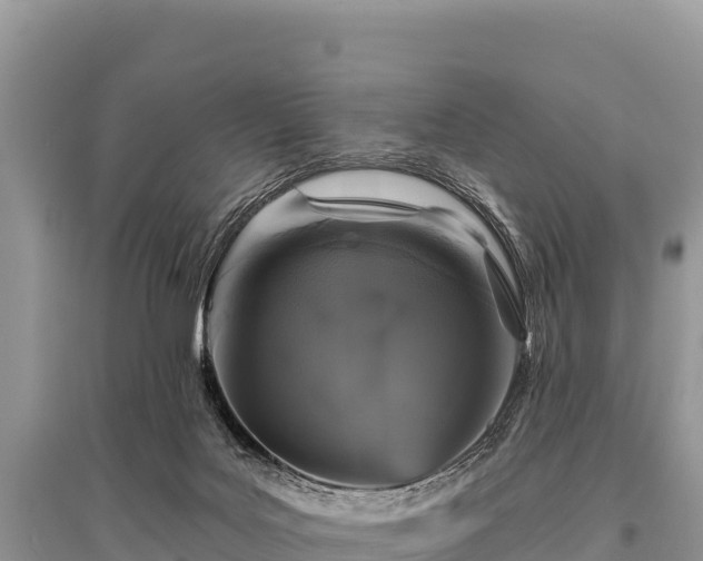 X0000096170027200801251202