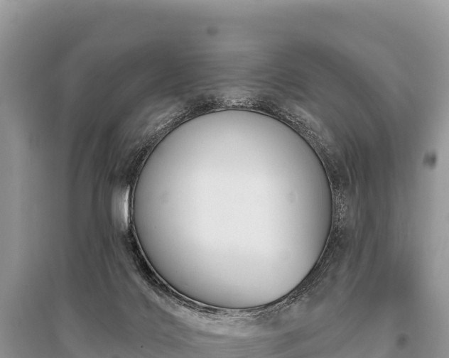 X0000096170028200801251202