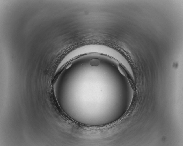 X0000096170029200801251202