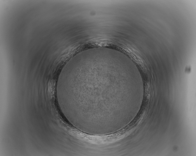 X0000096170030200801251202