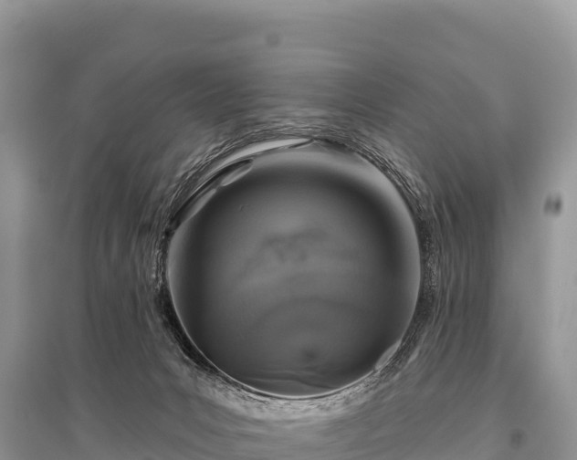 X0000096170031200801251202