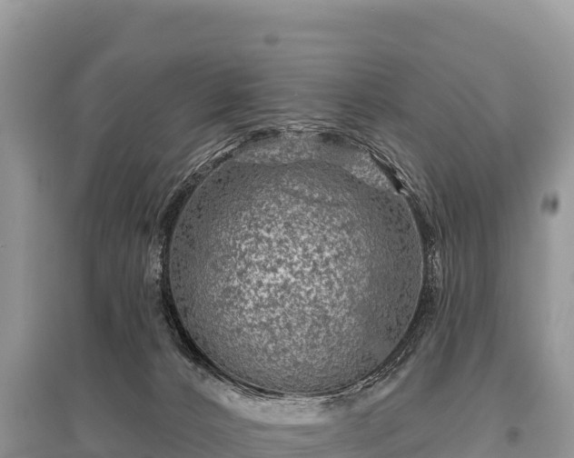 X0000096170032200801251202