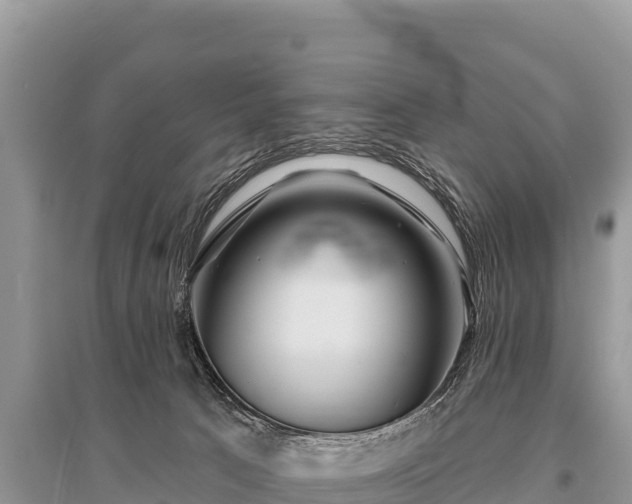 X0000096170033200801251202