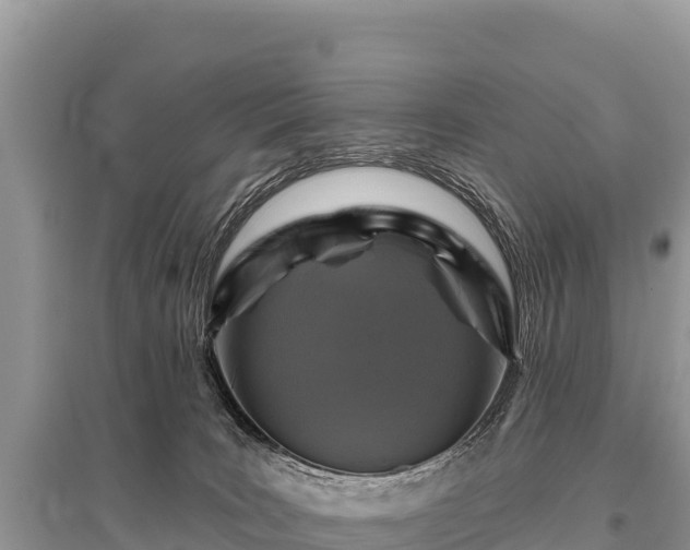 X0000096170035200801251202