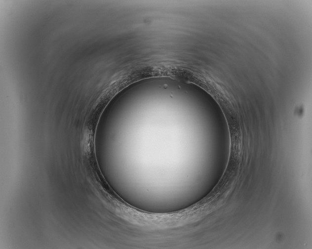 X0000096170038200801251202