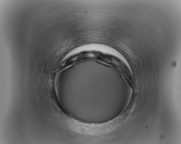 X0000096170039200801251202