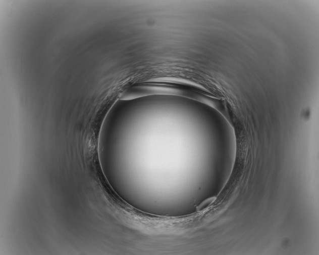 X0000096170040200801251202